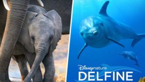 Das sind die Neuheiten auf Disney+ im April 2020