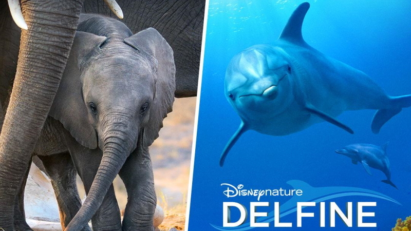 Disneynature Elefanten und Delfine