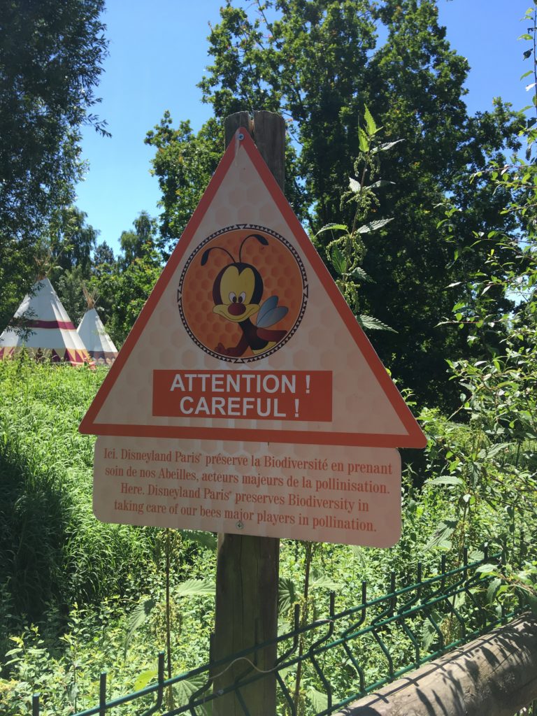 Disneyland Paris: Der nächste erste Tag 4 IMG 2611