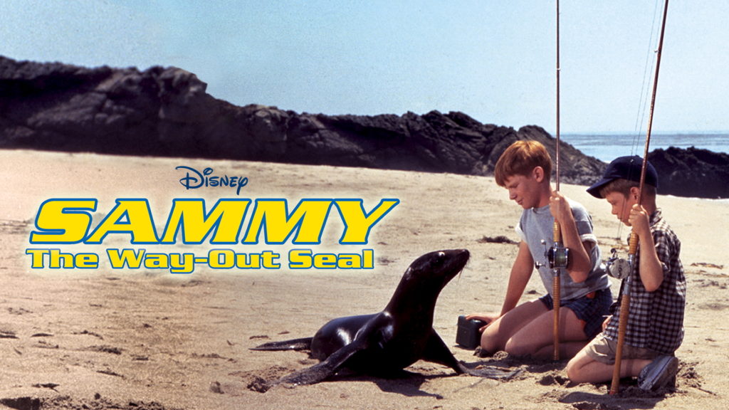 Geheimtipp auf Disney+: Sammy, the Way-Out Seal