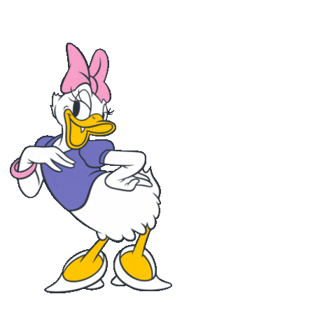 daisy