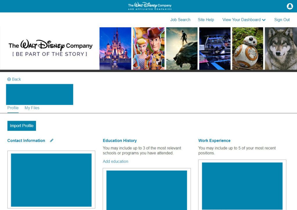 Disney CRP: Eure Bewerbung und das Interview für das Cultural Representative Program 3 Disney Career Job Portal
