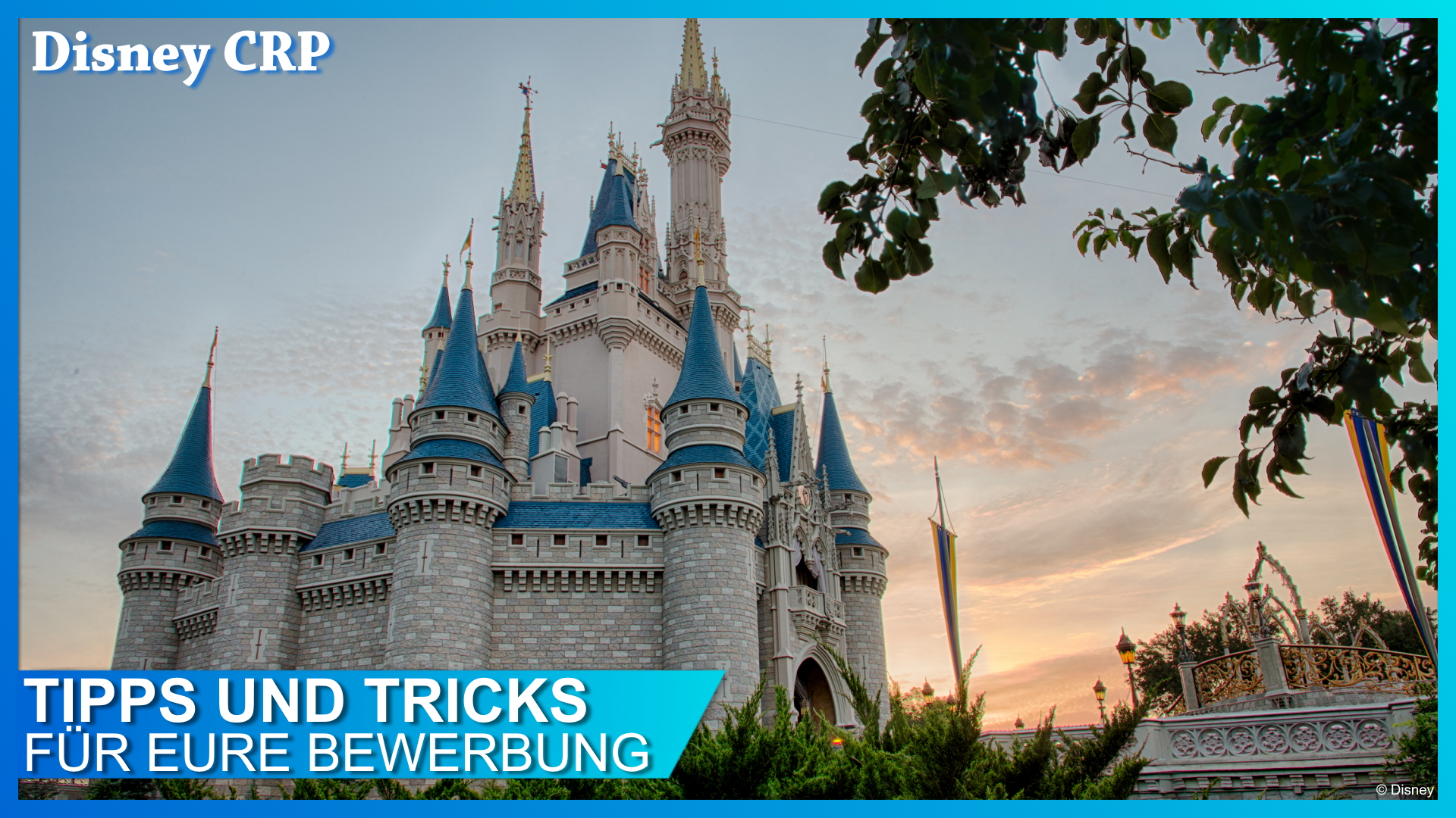 Disney CRP Bewerbung und Interview