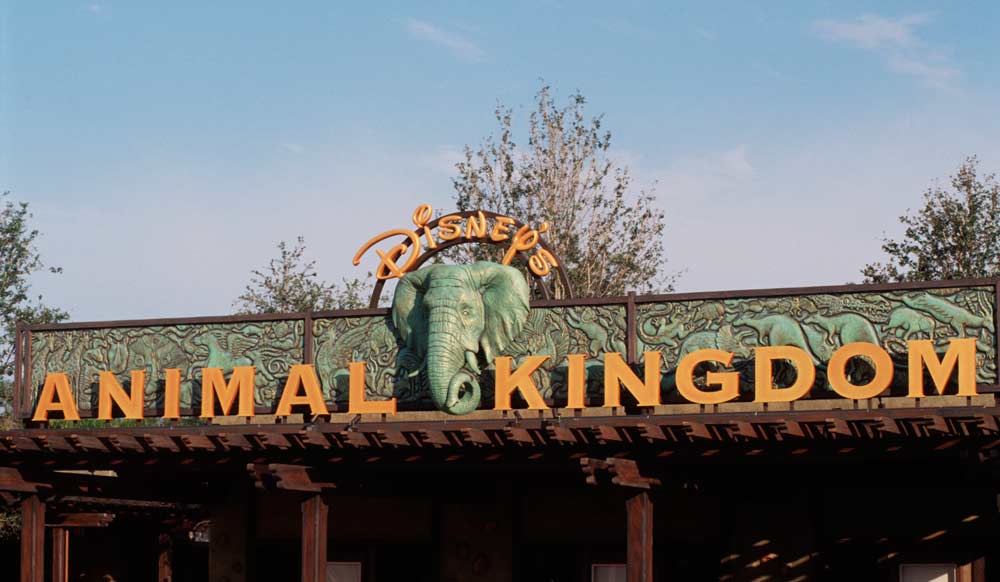 Disney's Animal Kingdom Entrance