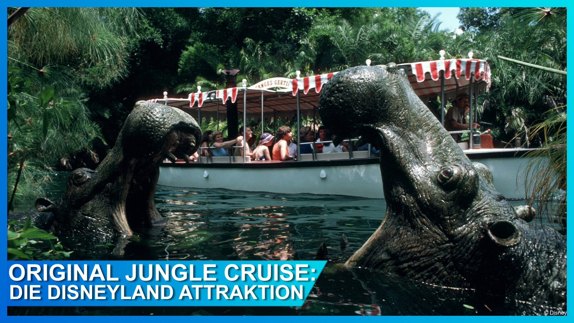 Tb Jungle Cruise Attraction