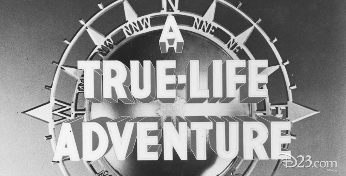 Jungle Cruise: Eine Opening Day Attraction wird zum Kino-Blockbuster 3 true life adventures film 1180x600 1