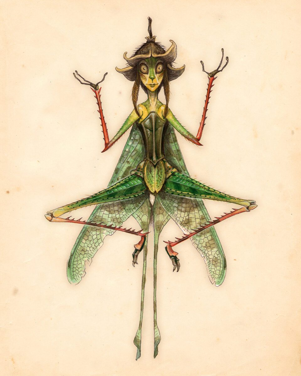 spiderwick sprite d b1f818ac