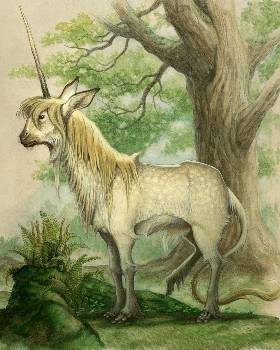 spiderwick unicorn d 4b4feb0a