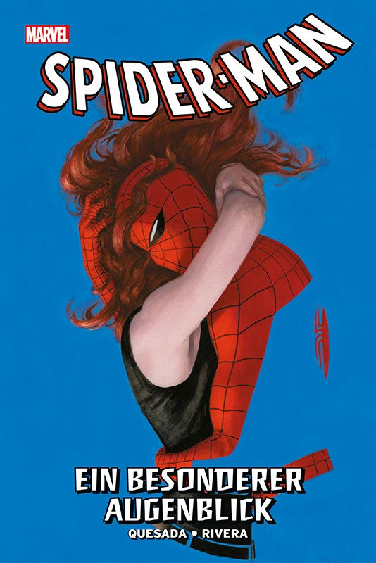 spider man ein besonderer augenblick dsmos008 cover