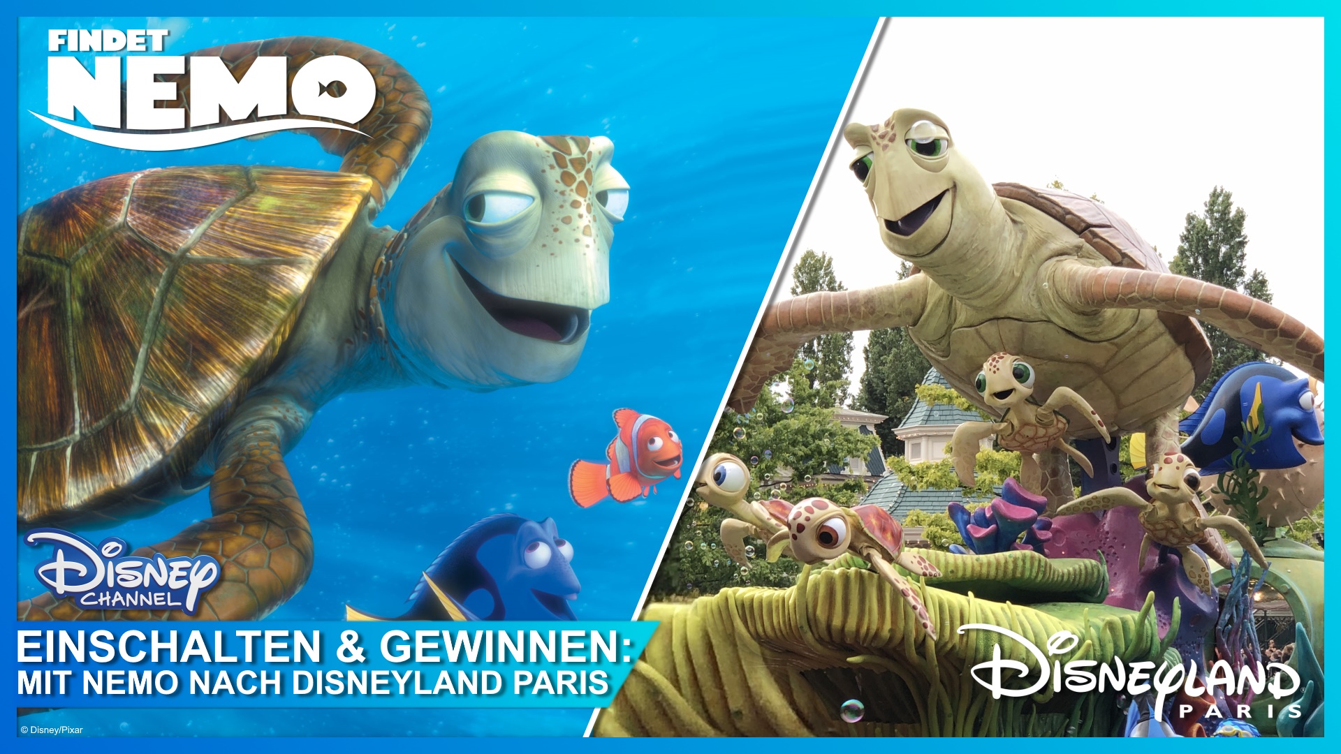 Disneyland Paris Gewinnspiel mit Findet Nemo im Disney Channel