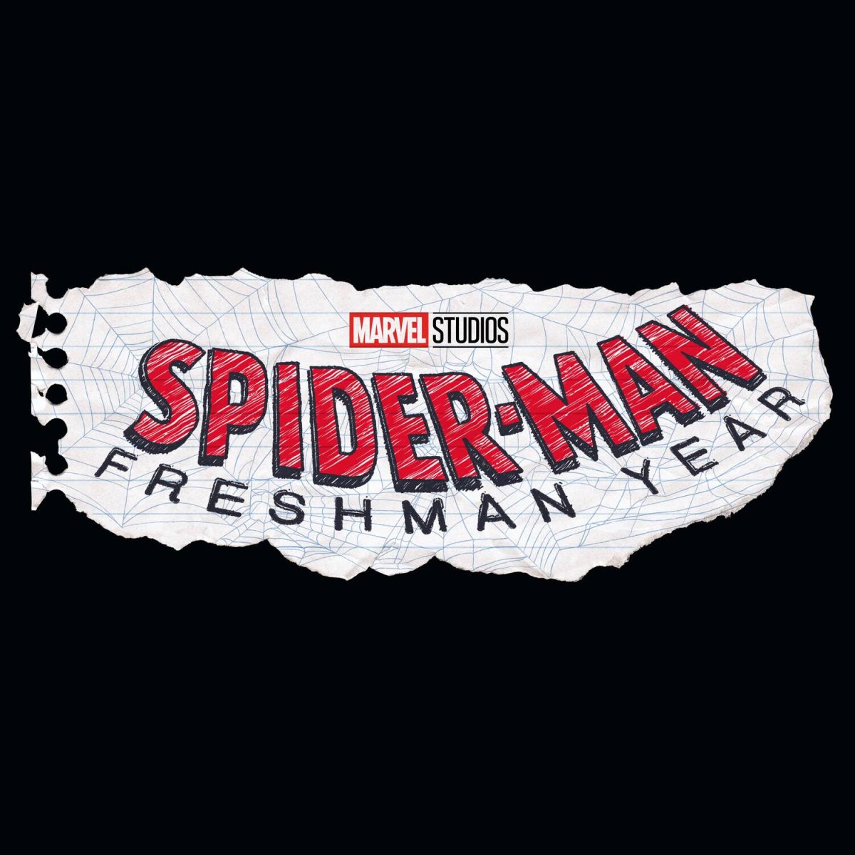Phase 5 und 6 enthüllt: 15 neue Marvel-Filme und Serien kommen! Inkl. zwei neuen Avengers Filmen im selben Jahr, Fantastic Four und mehr! 22 Spider-Man: Freshman Year - 2024 auf Disney+