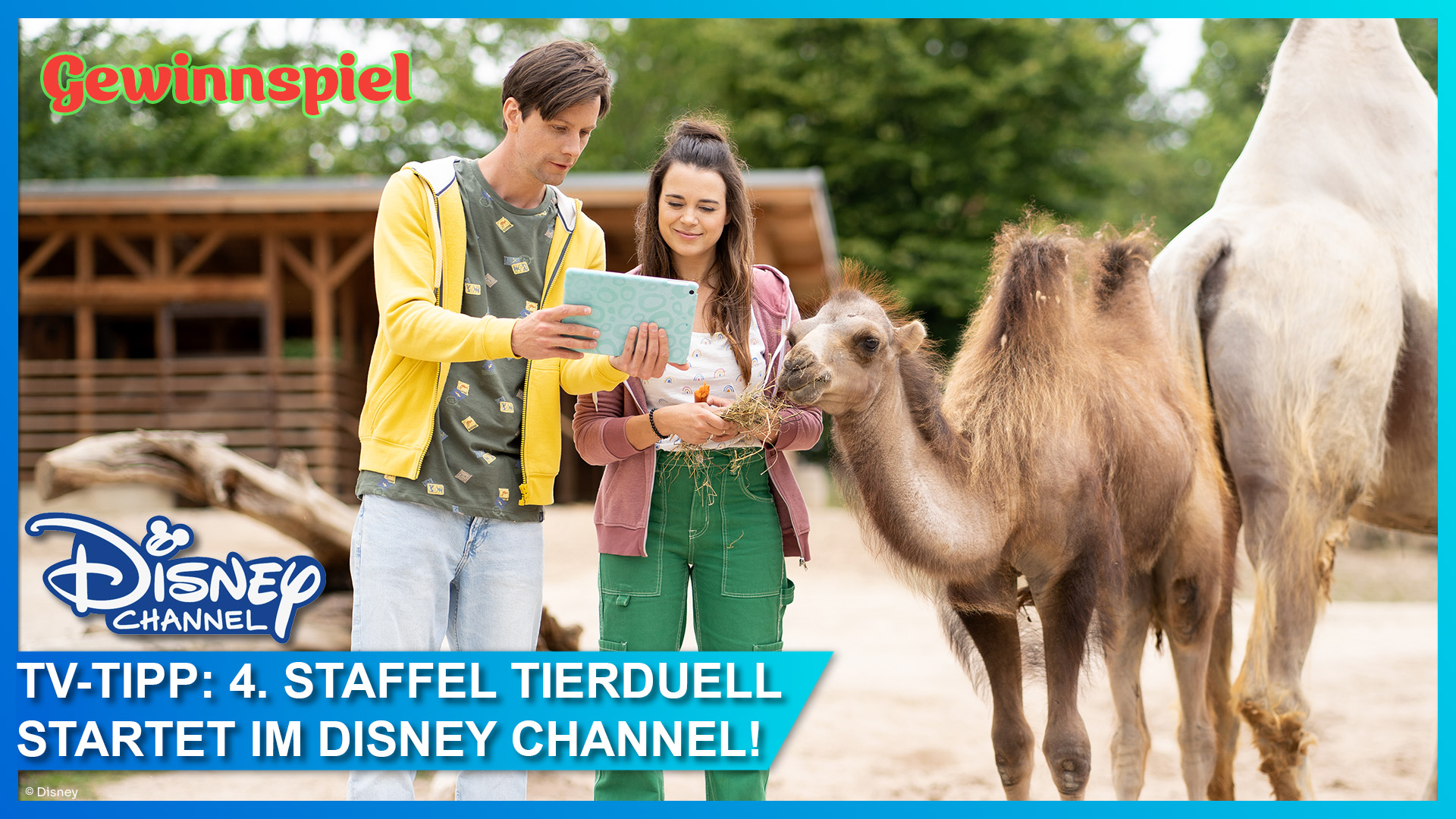 Tierduell Staffel 4 Gewinnspiel - ab 29. Oktober 2022 im Disney Channel