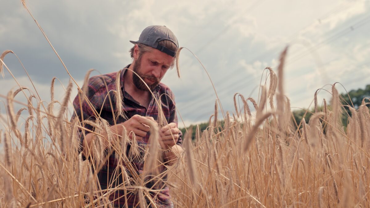 Review zur Disney+ Doku-Serie “Farm Rebellion” mit dem deutschen Landwirt Benedikt Bösel 3 Benedikt Bösel in Farm Rebellion