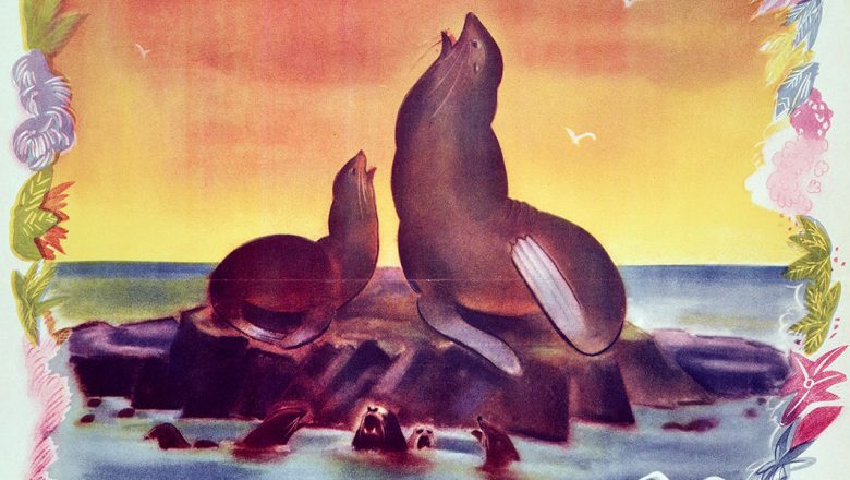 Der Mann und das Studio hinter der Marke: 5 Kurzfilme, um Walt Disney und seine Company besser zu verstehen 7 Seal Island (1948)