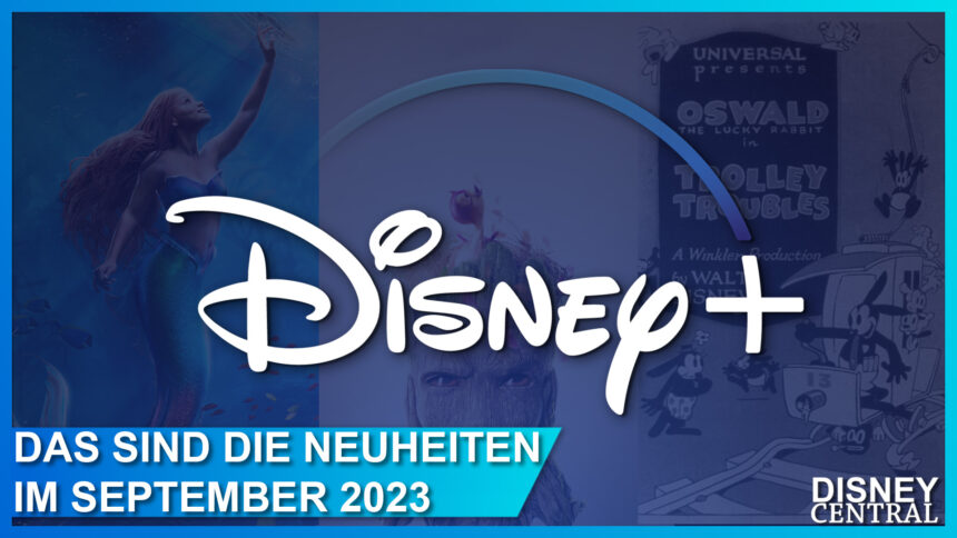 Alle Disney+ Streaming-Neustarts im September 2023: Arielle, Groot, die drei !!! und mehr!