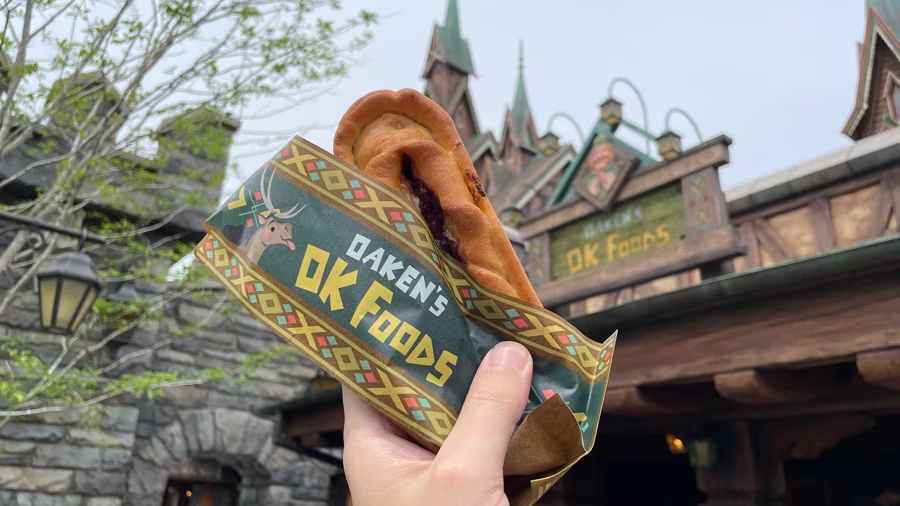 Disney Parks Blog 2