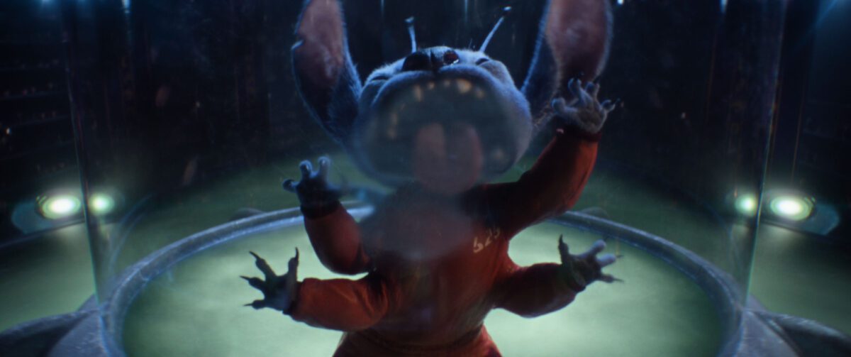 Stitch in Disney’s live-action LILO & STITCH. Photo courtesy of Disney. © 2025 Disney Enterprises Inc. All Rights Reserved.