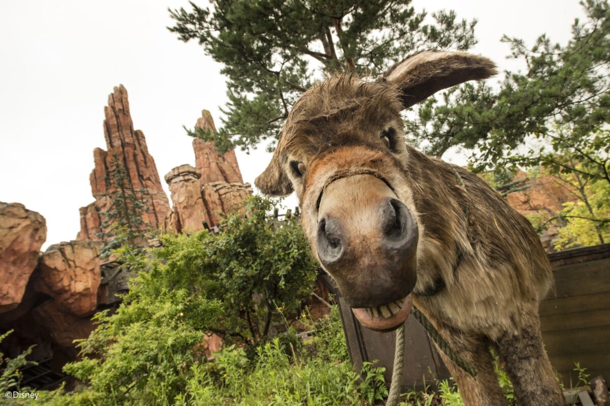 Billy, die Ziege von Frontierland
