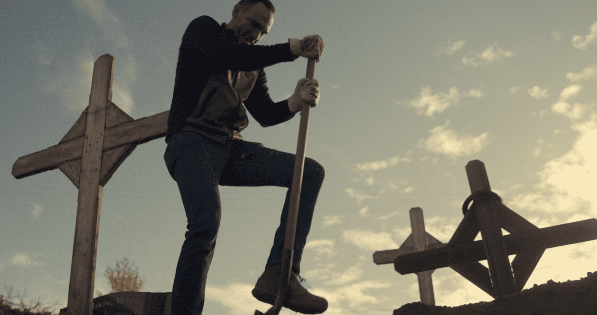 Sugarcane