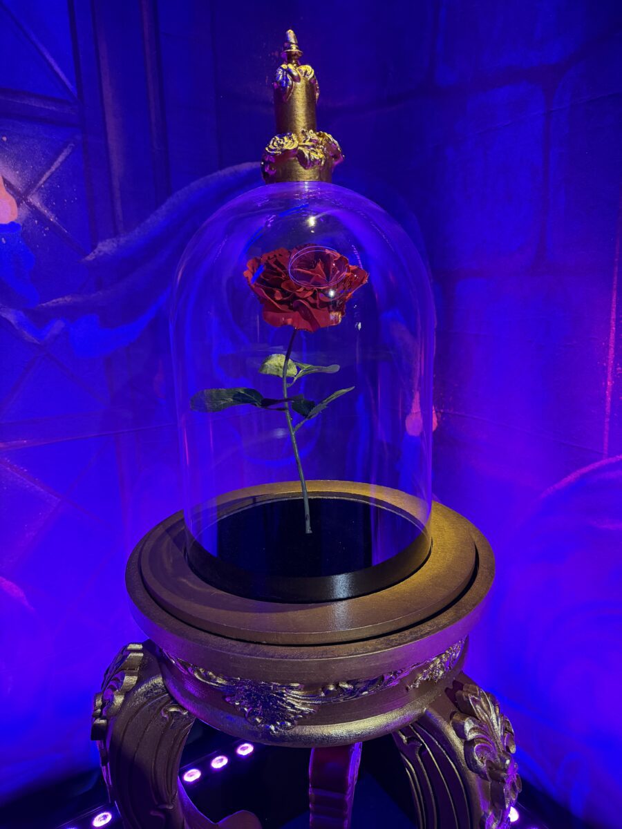 Die verzauberte Rose aus dem Die Schöne und das Biest Musical live in der Ausstellung